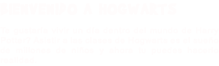 BIENVENIDO A HOGWARTS Te gustaría vivir un día dentro del mundo de Harry Potter? Asistir a las clases de Hogwarts es el sueño de millones de niños y ahora tu puedes hacerlo realidad.